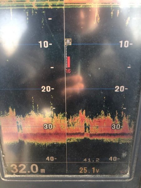 深川 吉野屋 釣果