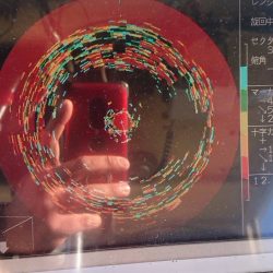 深川　吉野屋 釣果