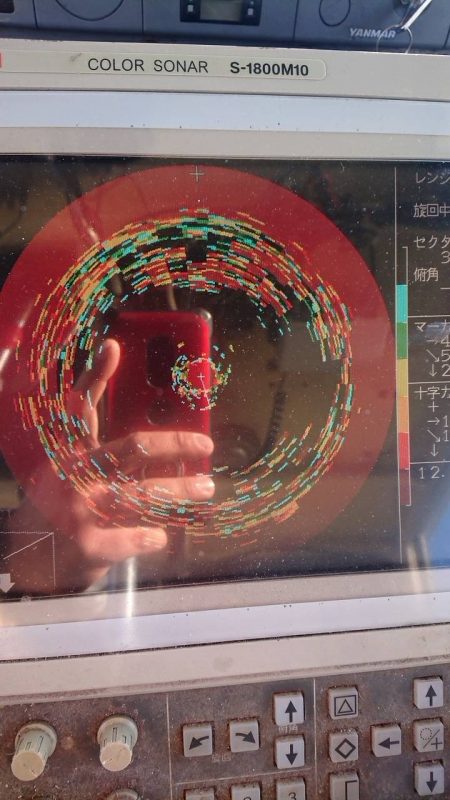 深川　吉野屋 釣果