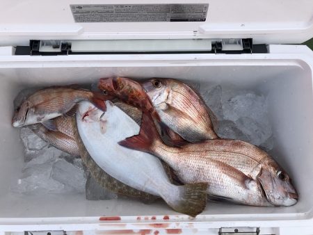 sea boss　シーボス 釣果