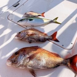 フィシングボートAir(エアー) 釣果