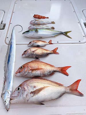 フィシングボートAir(エアー) 釣果