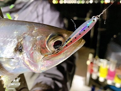 フィシングボートAir(エアー) 釣果