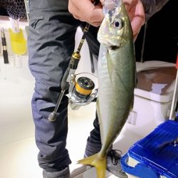 フィシングボートAir(エアー) 釣果