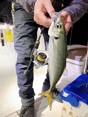 フィシングボートAir(エアー) 釣果