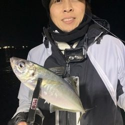 フィシングボートAir(エアー) 釣果