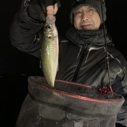 フィシングボートAir(エアー) 釣果