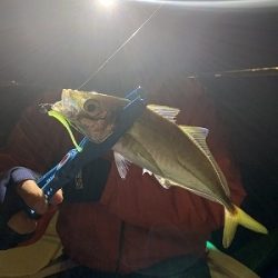 フィシングボートAir(エアー) 釣果