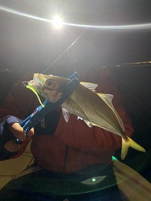 フィシングボートAir(エアー) 釣果