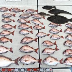 海人丸(うみんちゅまる) 釣果