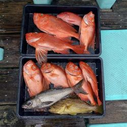 三吉丸 釣果