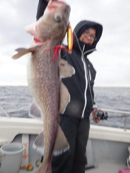 Aquanaut(アクアノート) 釣果