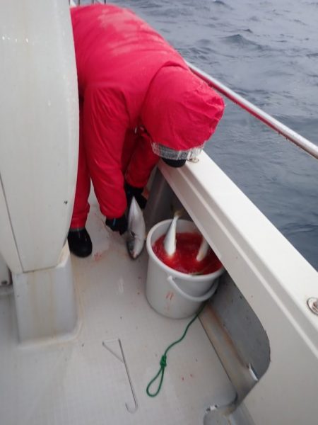 Aquanaut（アクアノート） 釣果