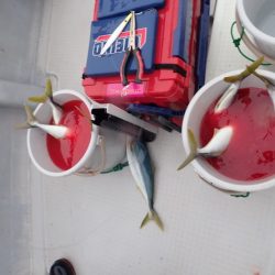 Aquanaut（アクアノート） 釣果