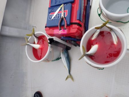 Aquanaut（アクアノート） 釣果