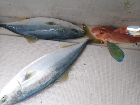 Aquanaut（アクアノート） 釣果