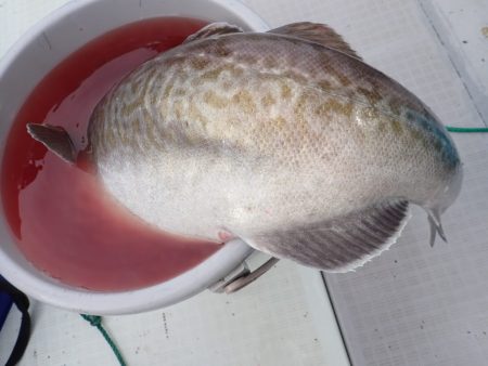 Aquanaut(アクアノート) 釣果