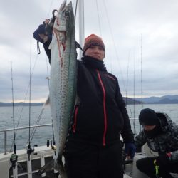 Aquanaut(アクアノート) 釣果