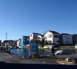 朝霞ガーデン 釣果