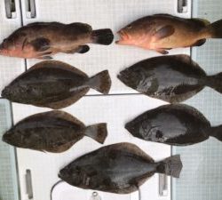 さぶろう丸 釣果