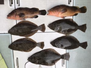 さぶろう丸 釣果