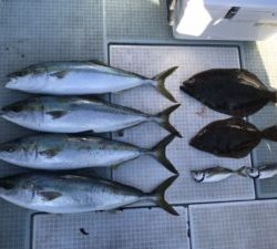 さぶろう丸 釣果