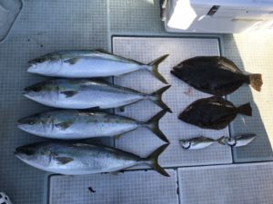 さぶろう丸 釣果