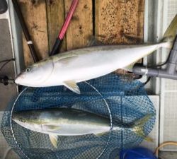 さぶろう丸 釣果