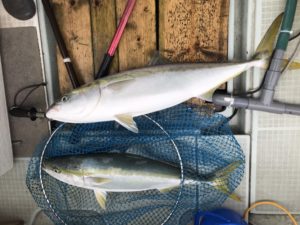 さぶろう丸 釣果