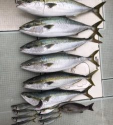 さぶろう丸 釣果