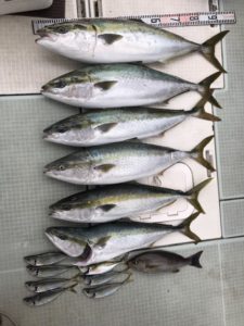 さぶろう丸 釣果