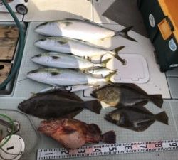 さぶろう丸 釣果