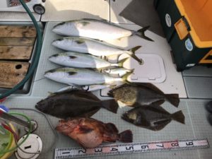 さぶろう丸 釣果