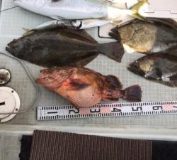 さぶろう丸 釣果