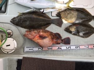 さぶろう丸 釣果