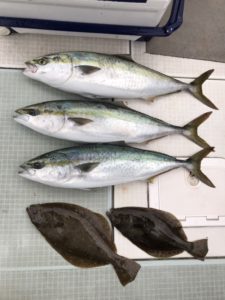 さぶろう丸 釣果