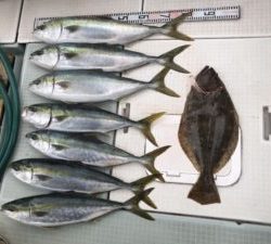 さぶろう丸 釣果
