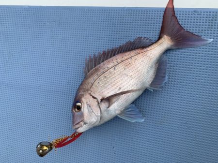 松栄丸 釣果