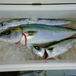 火遠理丸(ほおりまる) 釣果