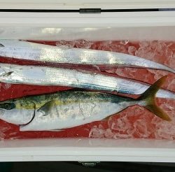 火遠理丸(ほおりまる) 釣果