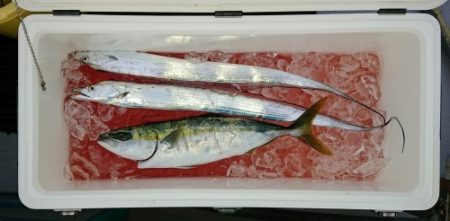 火遠理丸(ほおりまる) 釣果