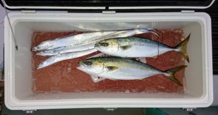 火遠理丸(ほおりまる) 釣果