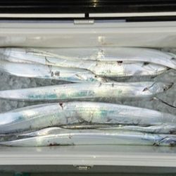 火遠理丸(ほおりまる) 釣果