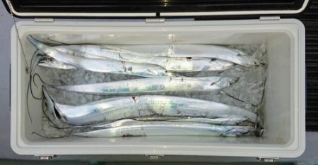 火遠理丸(ほおりまる) 釣果