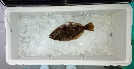 火遠理丸(ほおりまる) 釣果