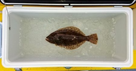 火遠理丸(ほおりまる) 釣果