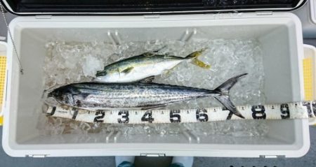 火遠理丸（ほおりまる） 釣果