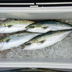 火遠理丸(ほおりまる) 釣果
