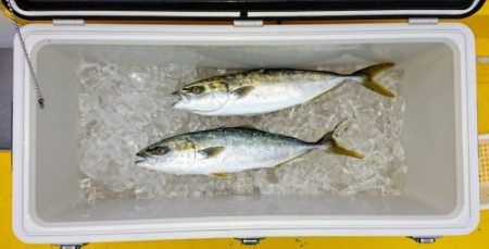 火遠理丸(ほおりまる) 釣果
