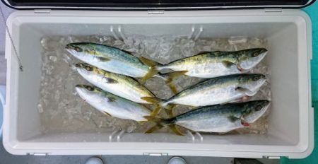 火遠理丸(ほおりまる) 釣果